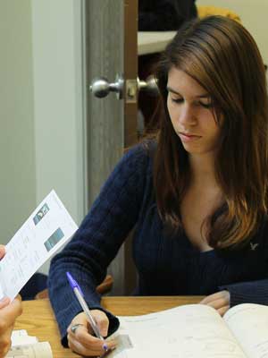 自动攻击网站工具下载